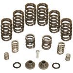 BD Diesel P7100 Governor Spring Kit 4000rpm (1040185) for 1994-1998 Cummins 12-Valve 5.9L